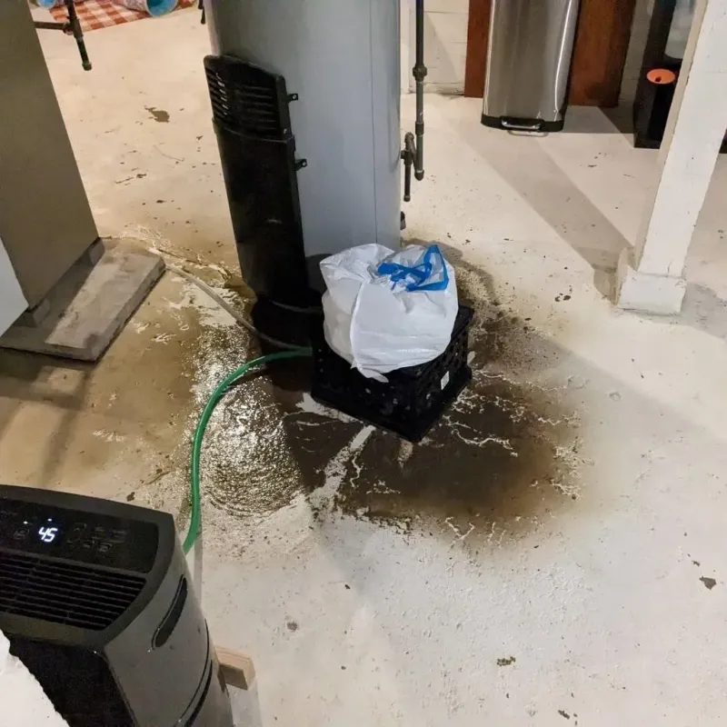 Sewage Backup Cleanup Service in Winnsboro Mills, SC